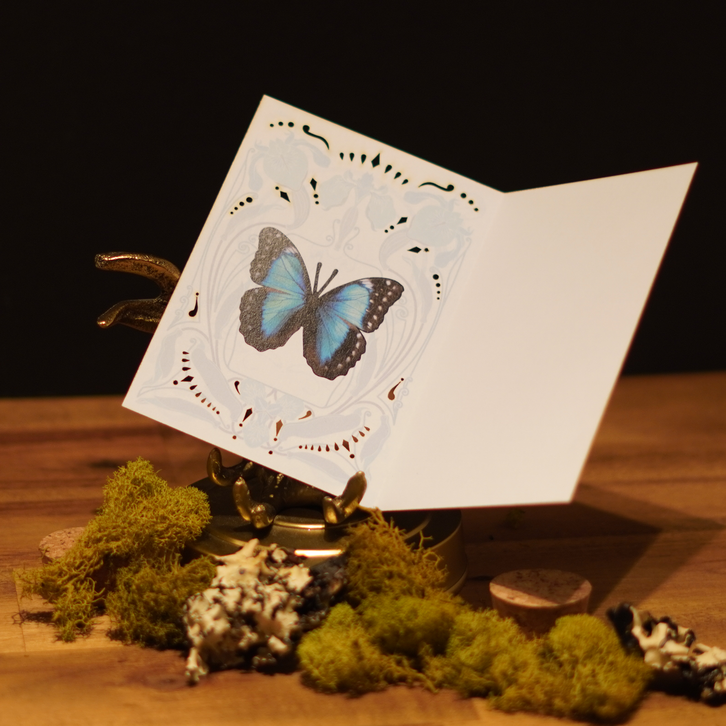 Lepidoptera Luxe Gift Set