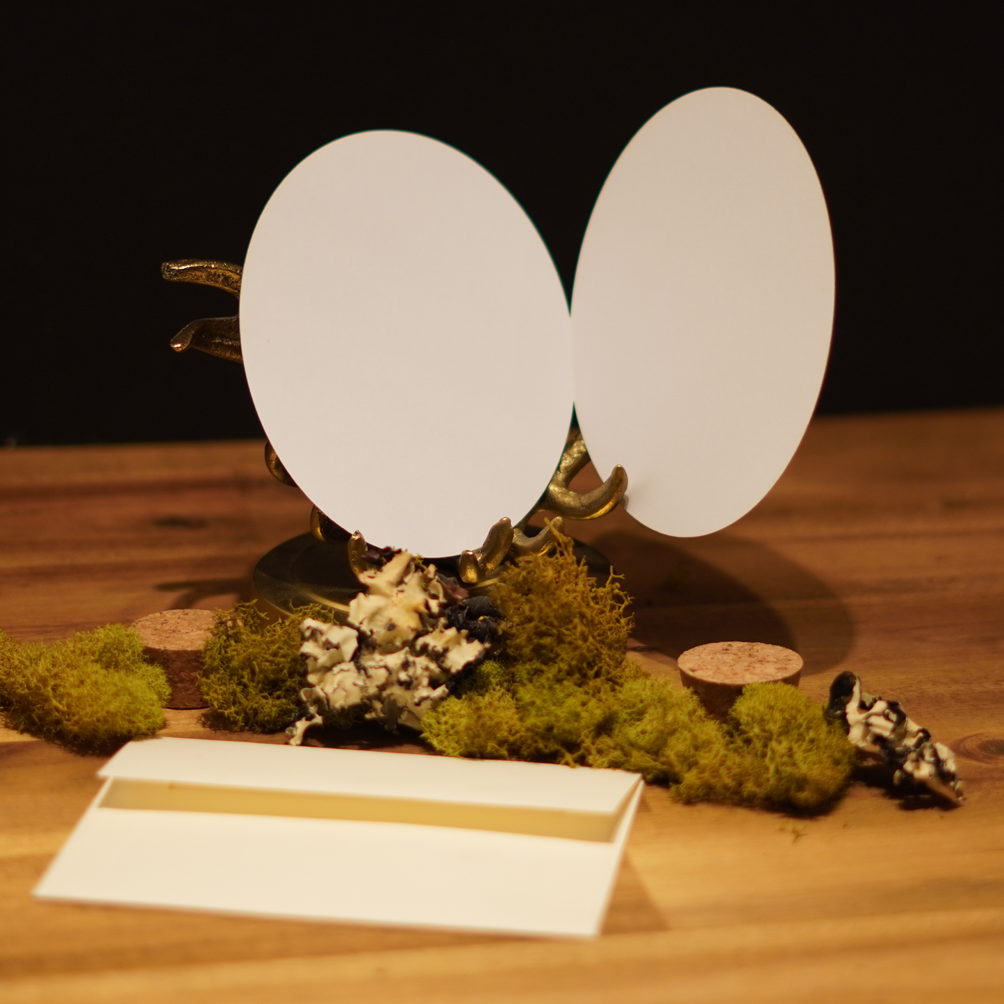 Lepidoptera Luxe Gift Set