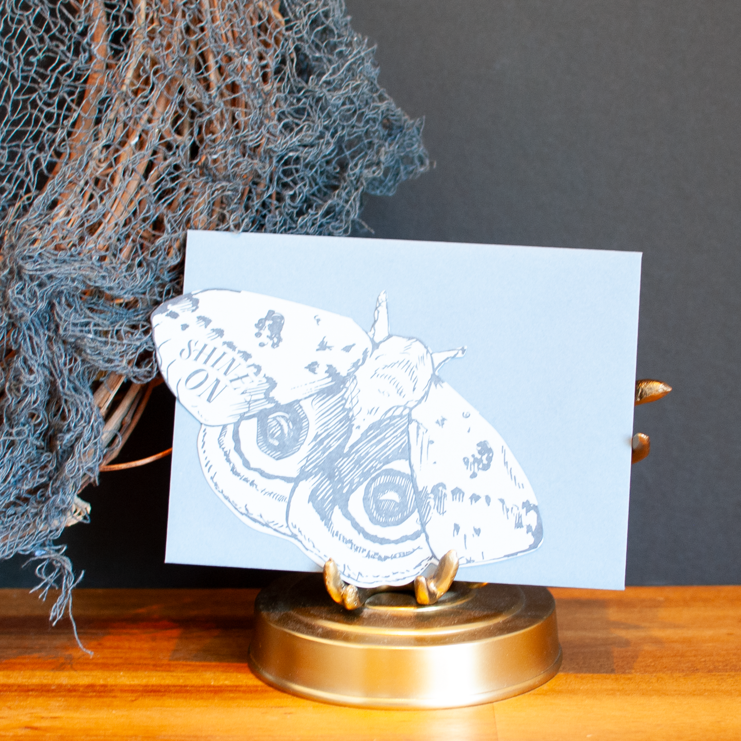 Whiskers, Wings & Wild Things Greeting Card Set: Pack of 4