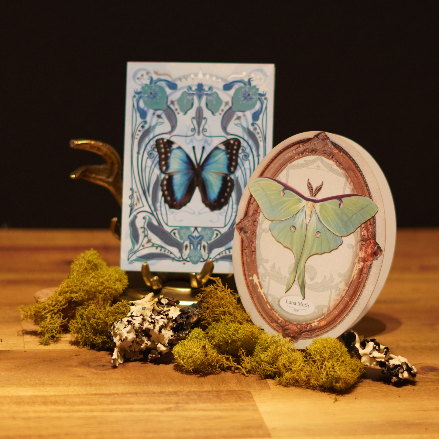 Jewel Wing Duo - Butterfly Greeting Card Set: Pack of 2