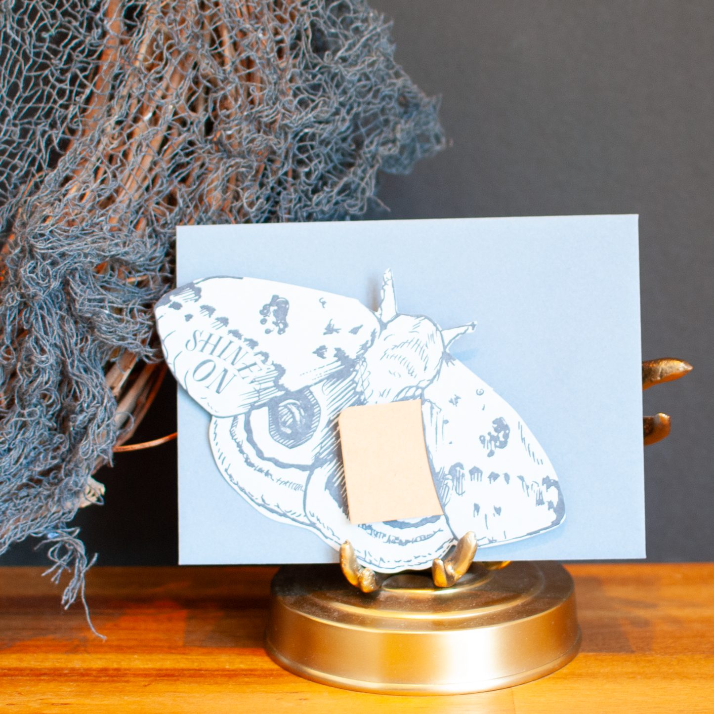 Whiskers, Wings & Wild Things Greeting Card Set: Pack of 4