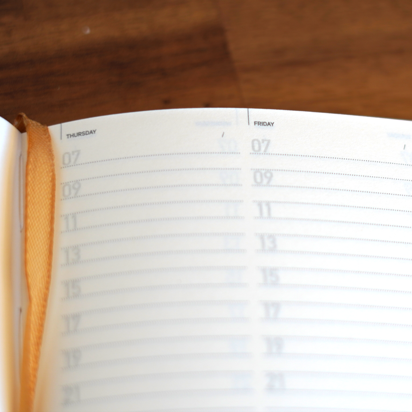 Gilded Dreams Daily Planner