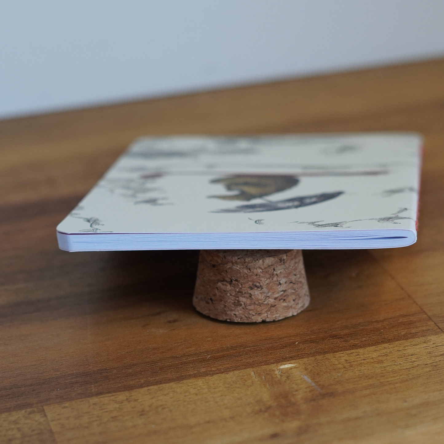 Flying Bear Jotter Set