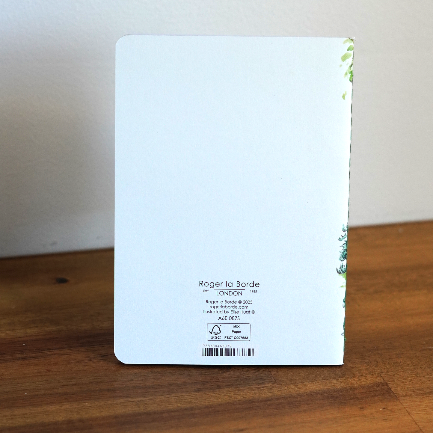 Flying Bear Jotter Set