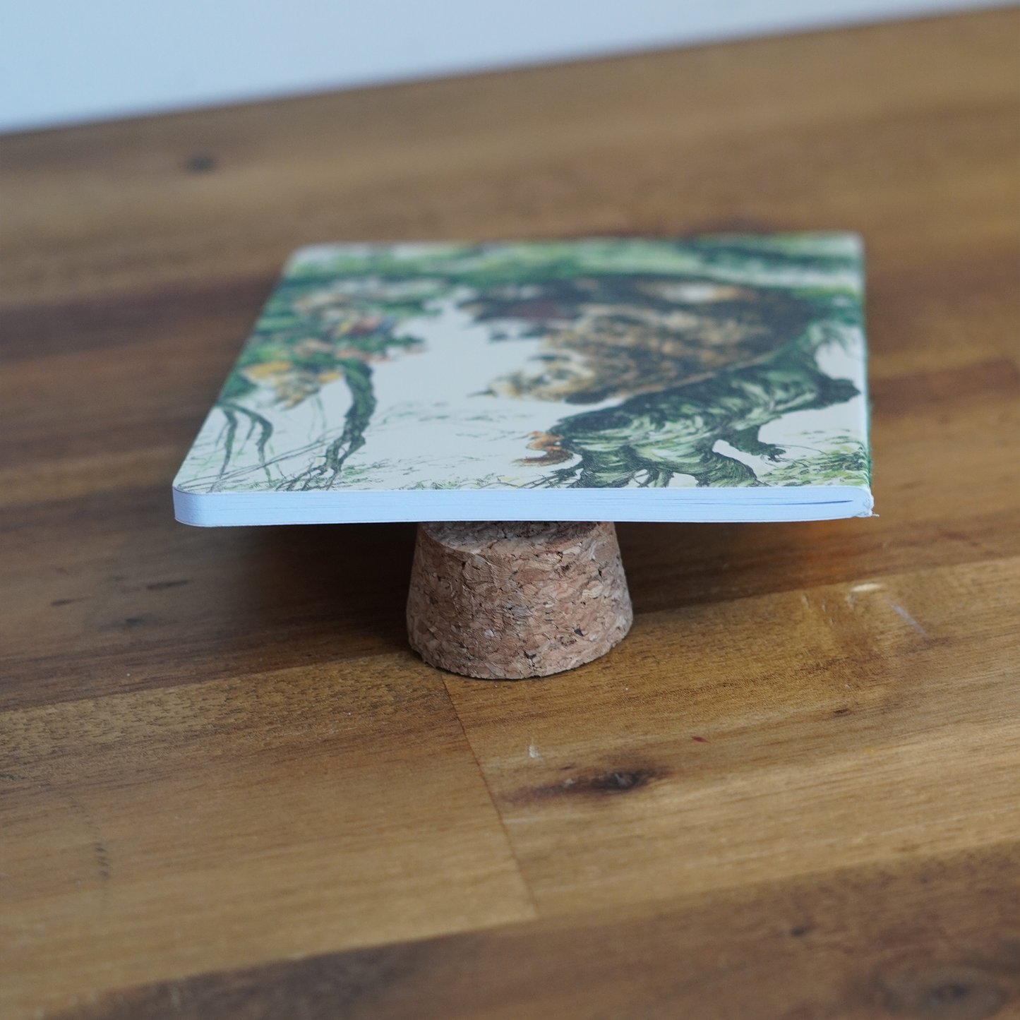 Flying Bear Jotter Set