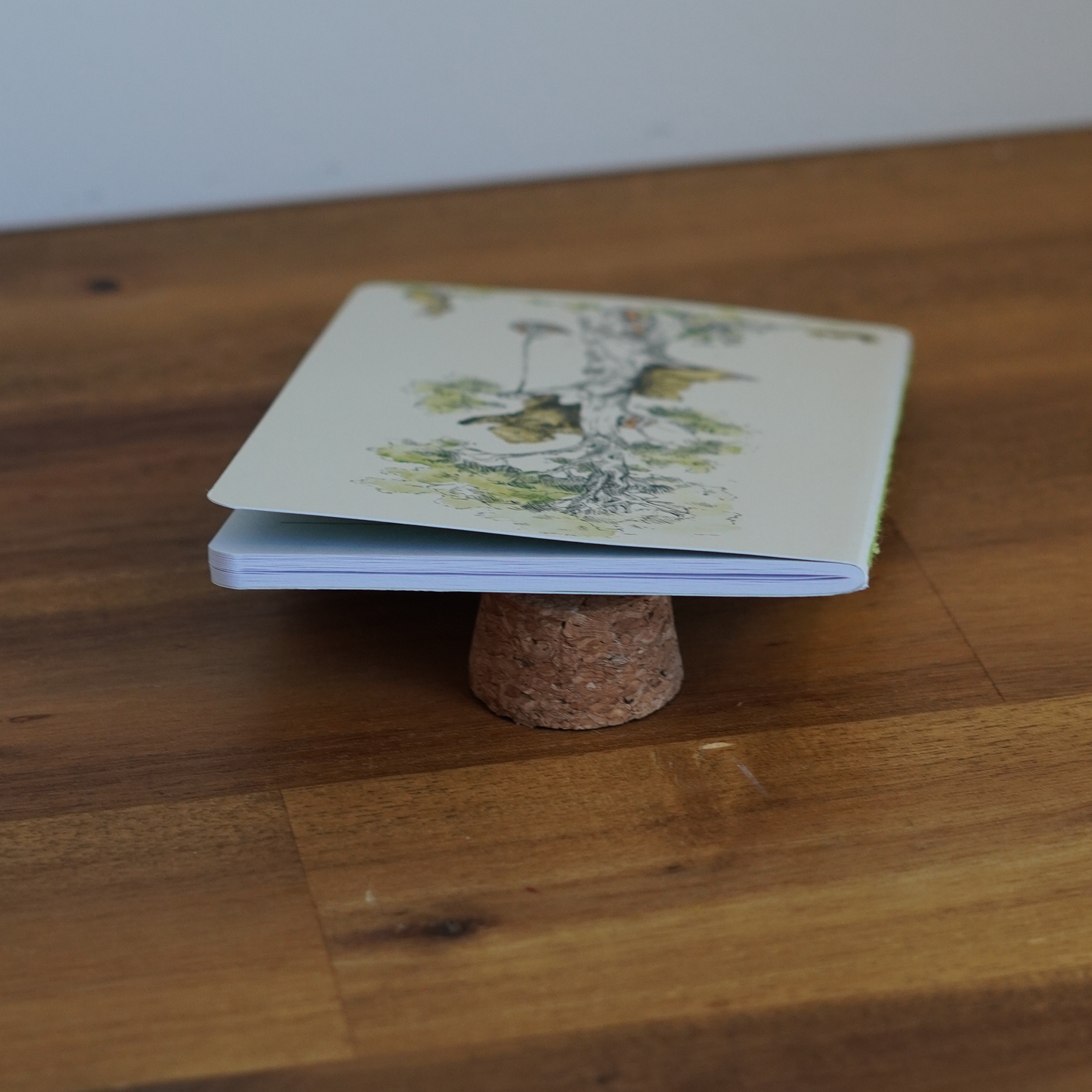 Flying Bear Jotter Set