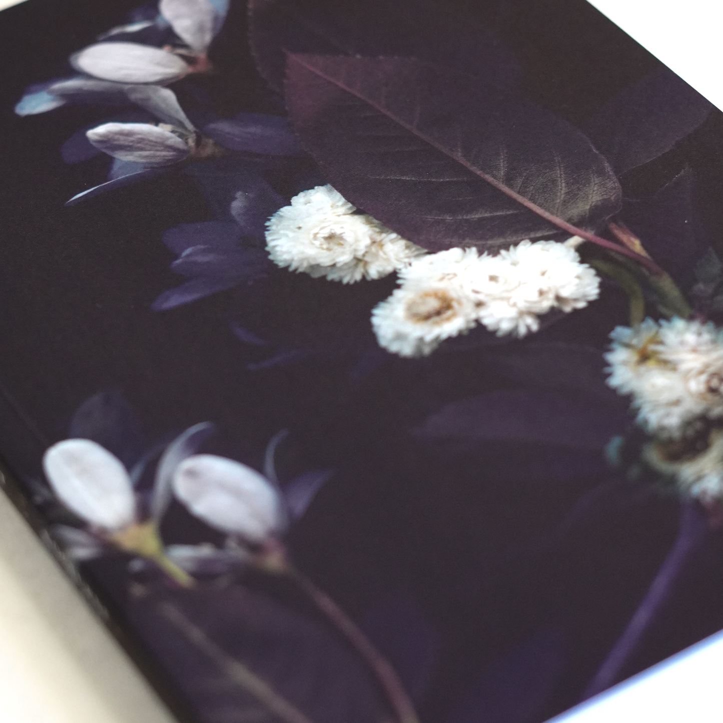 Velvet Botanica Journal