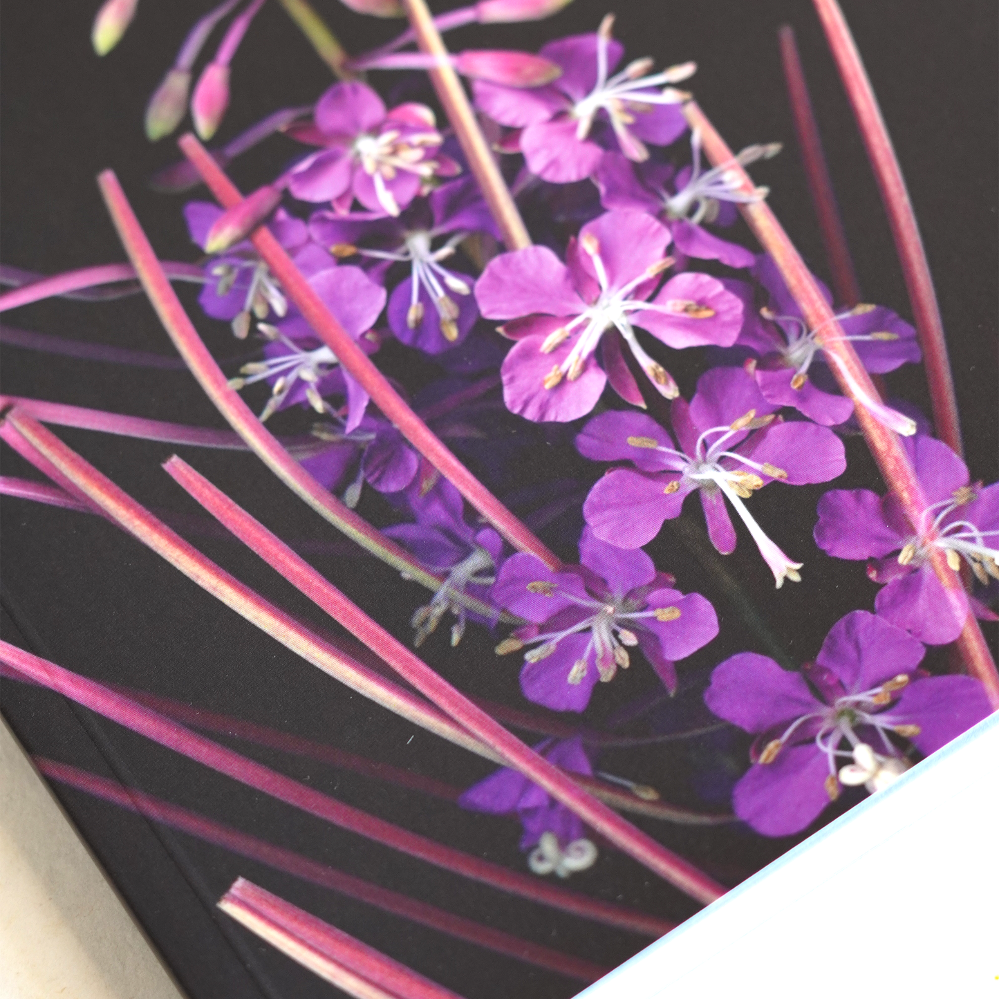 Velvet Botanica Journal