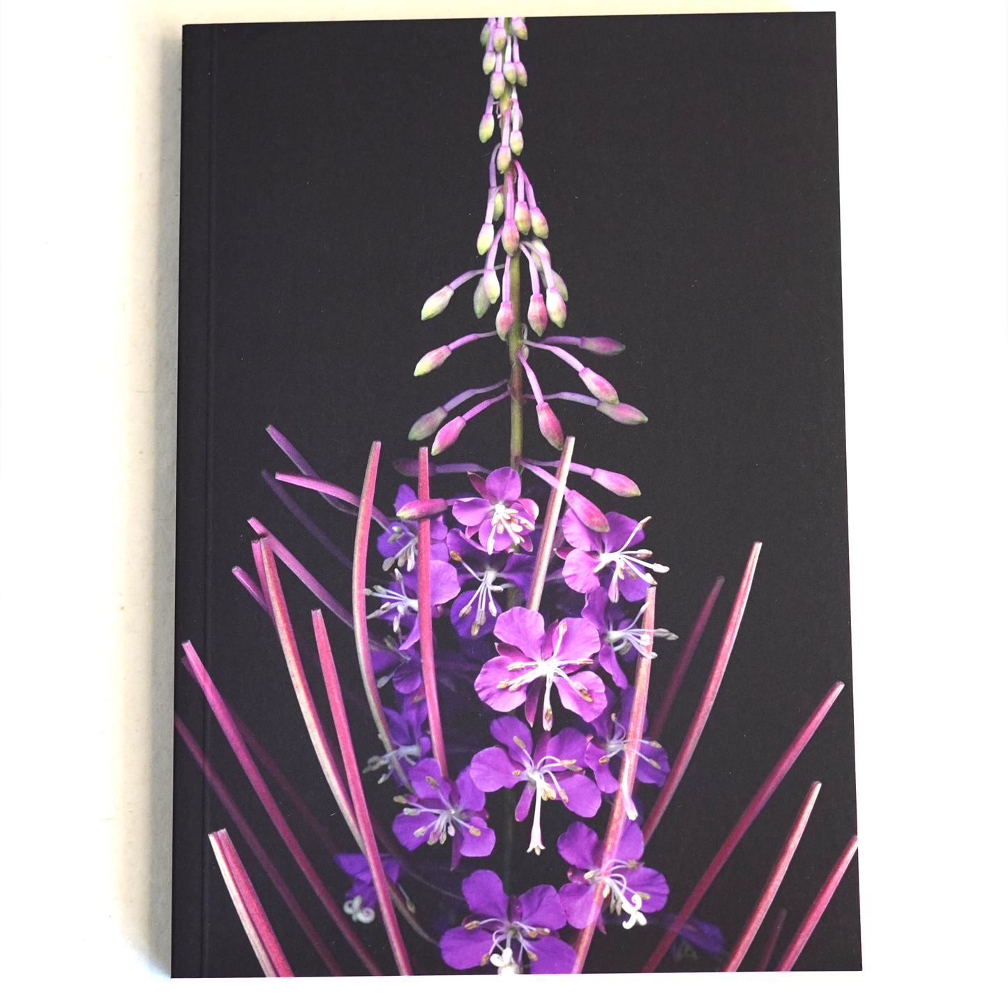Velvet Botanica Journal