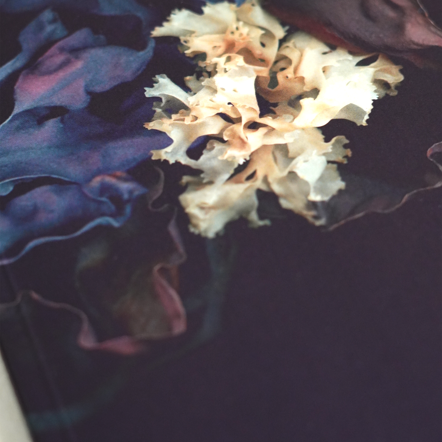 Velvet Botanica Journal