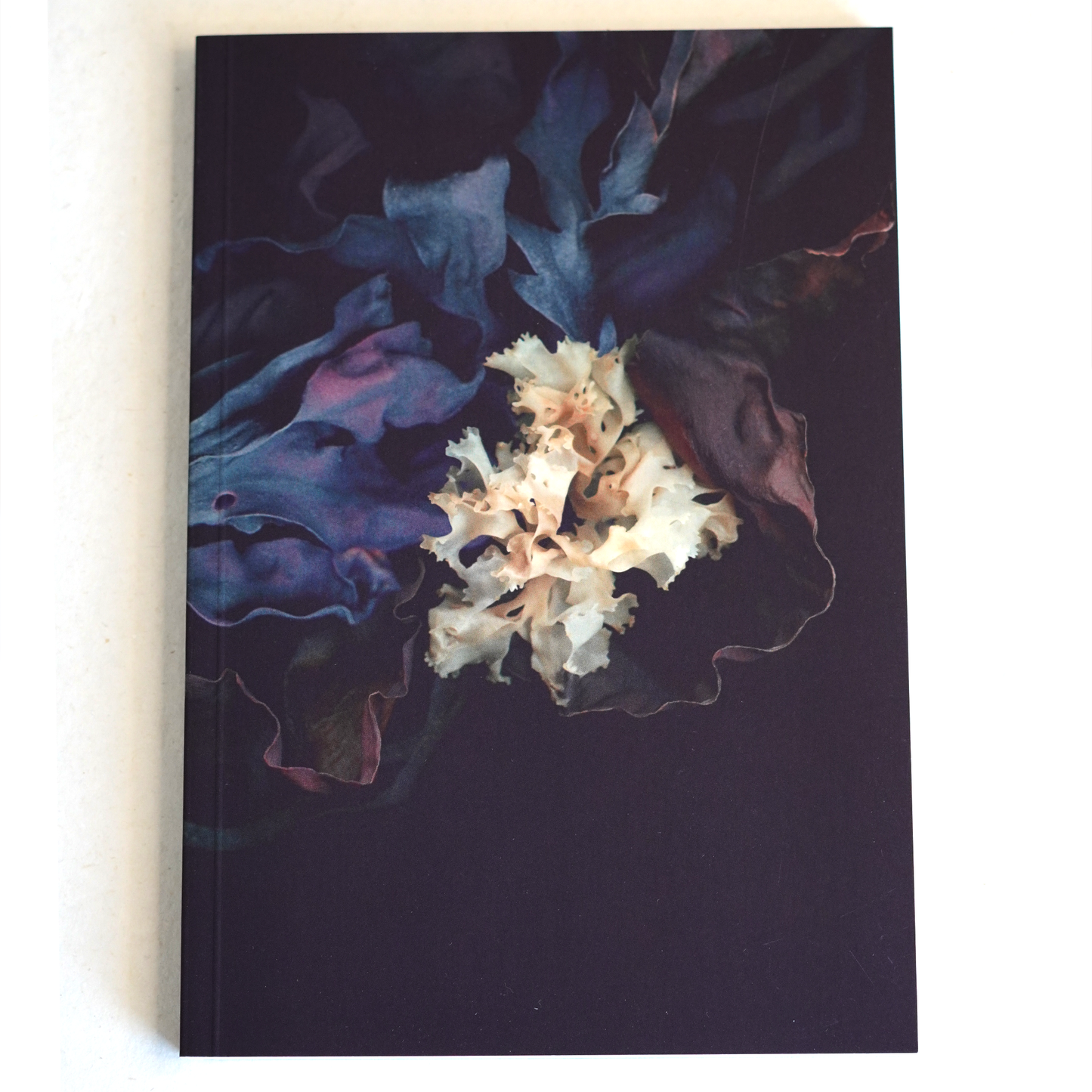 Velvet Botanica Journal