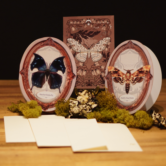 Dark Wings - Gothic Moth & Butterfly Greeting Card Set: Pack of 3