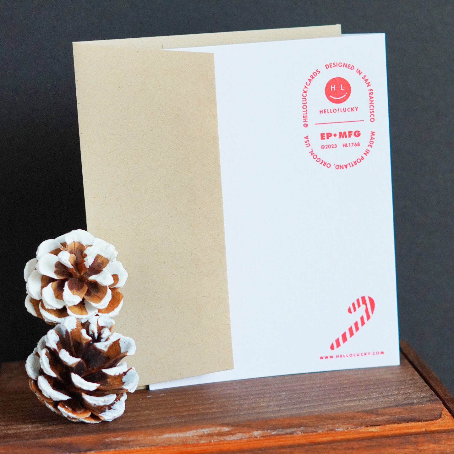 Gnome for the Holidays Cards - Set of 2 + Stickers