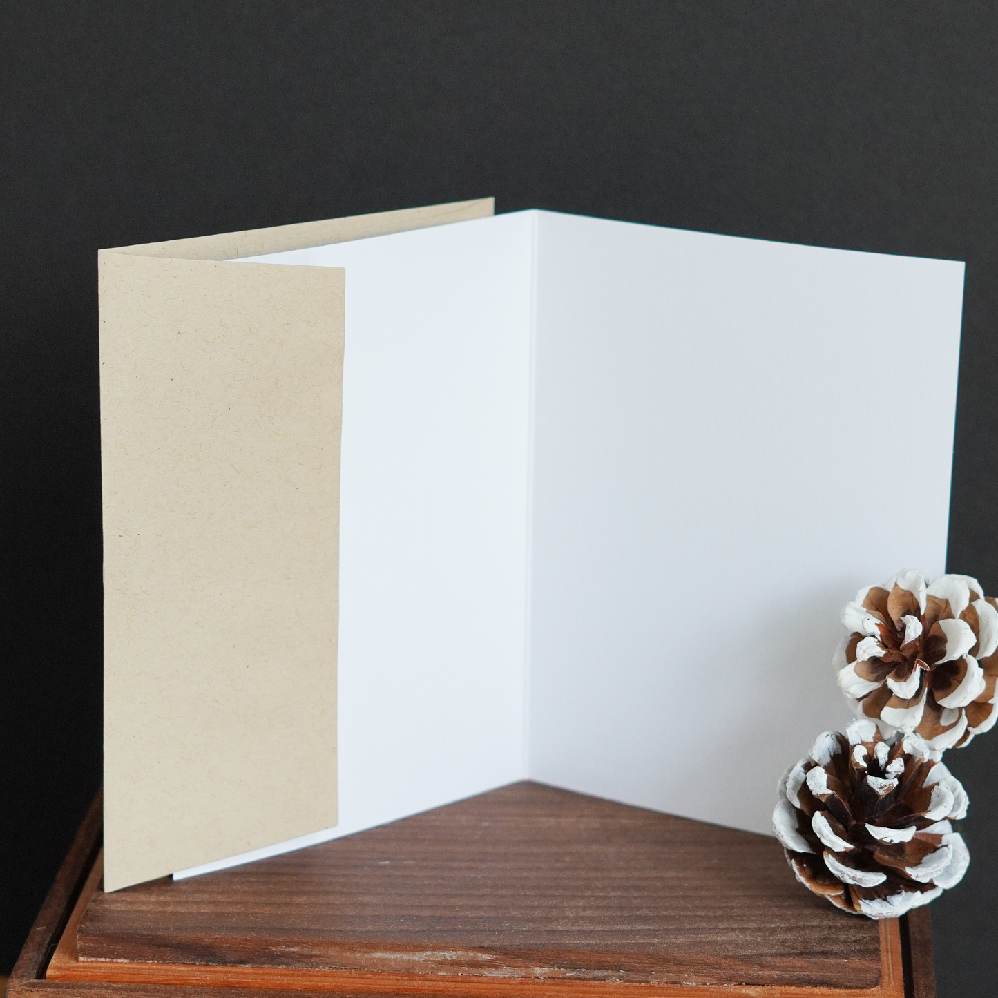 Gnome for the Holidays Cards - Set of 2 + Stickers