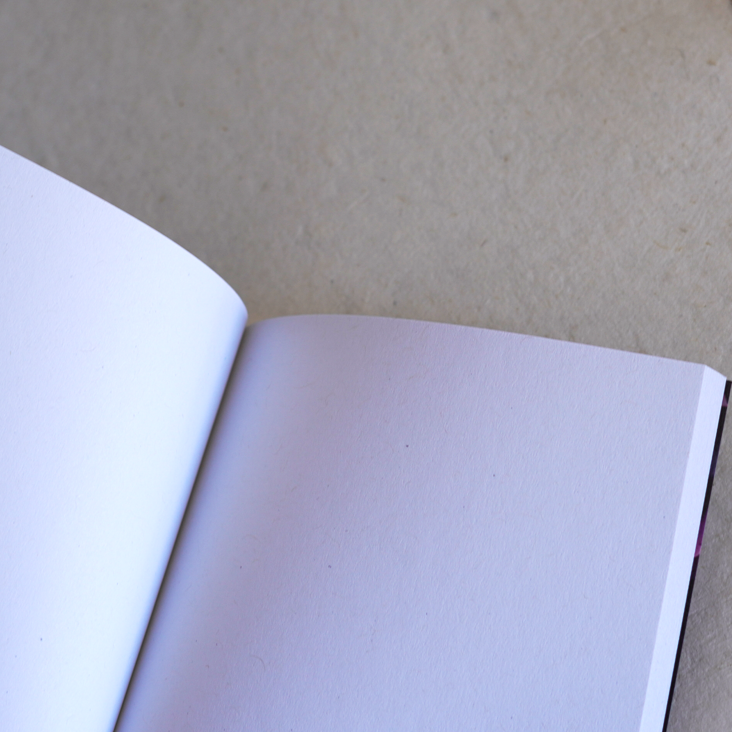 Moss & Midnight Pocket Jotter