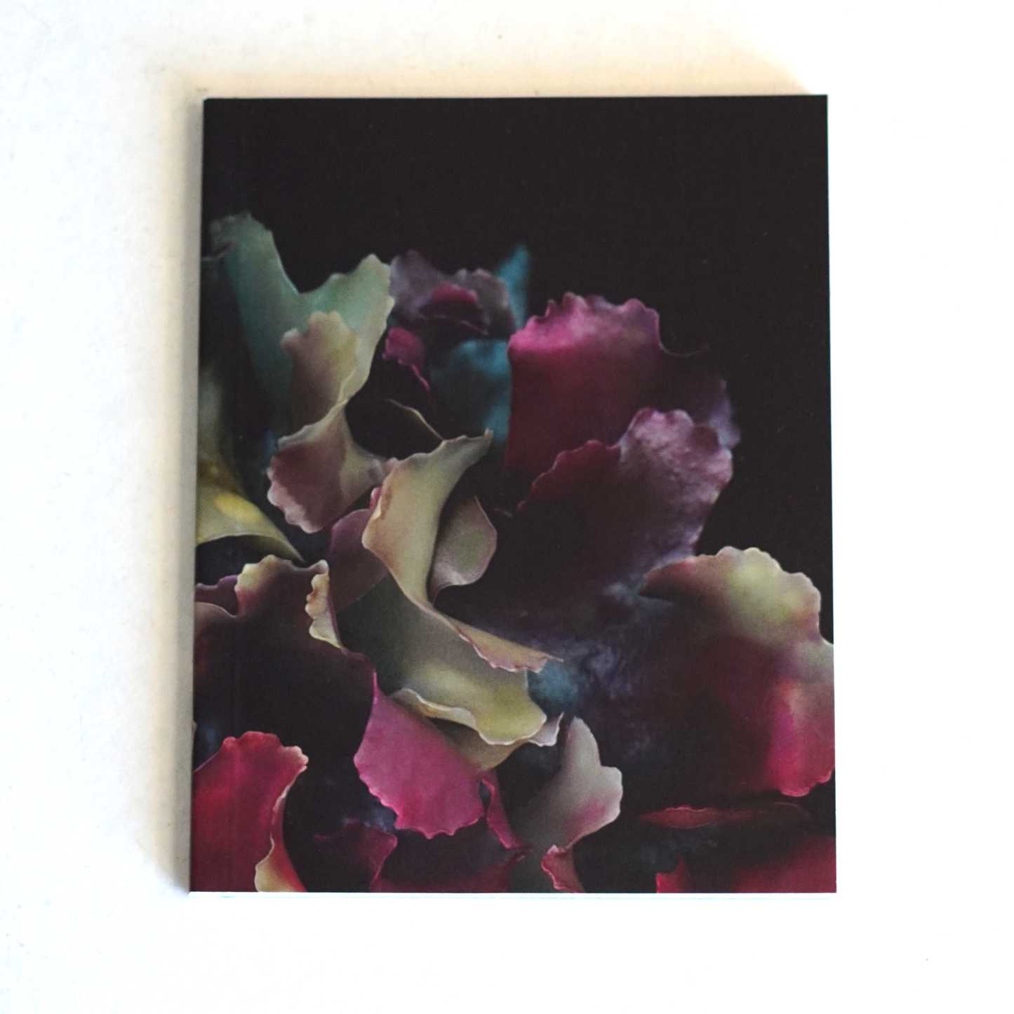 Moss & Midnight Pocket Jotter