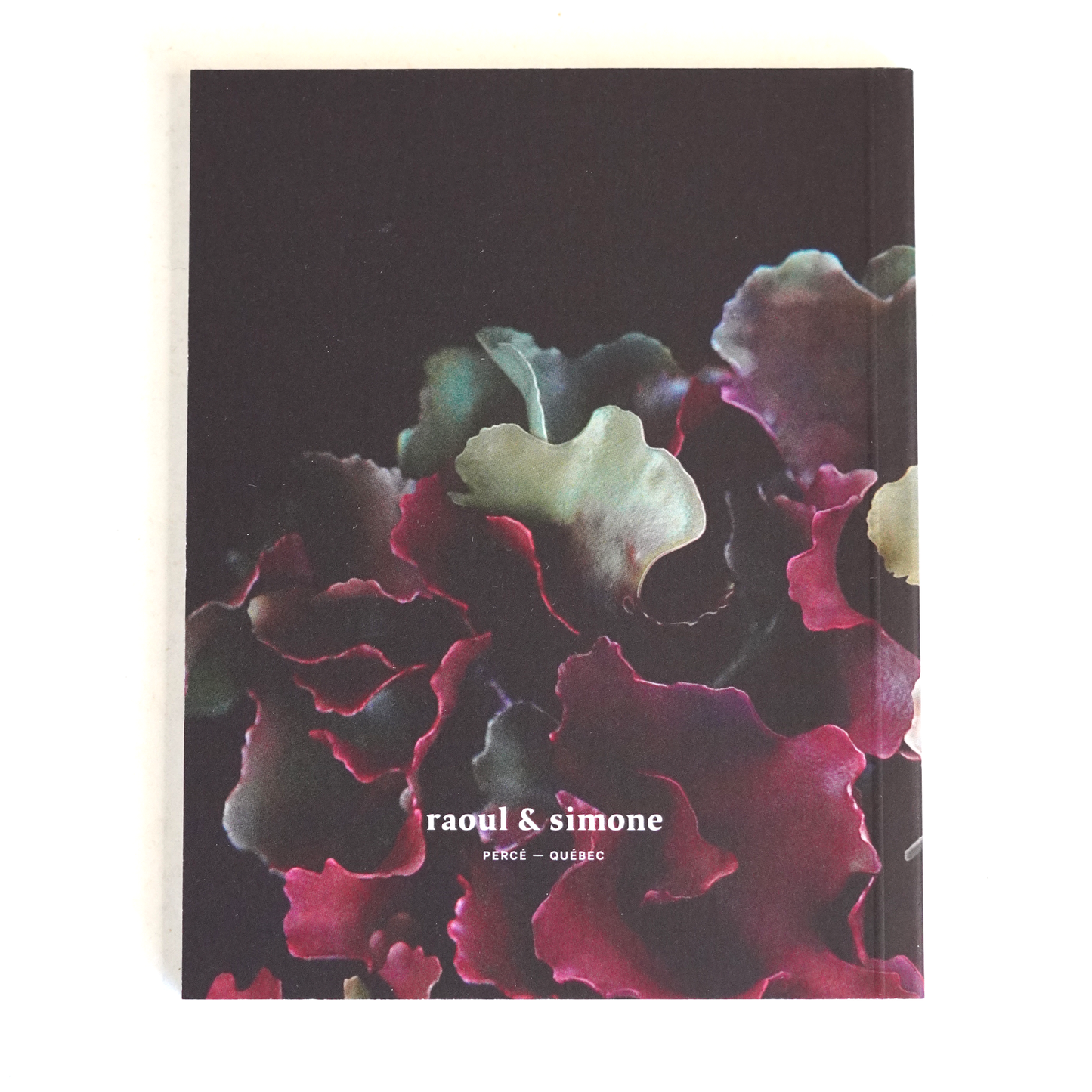 Moss & Midnight Pocket Jotter