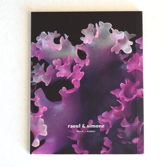 Moss & Midnight Pocket Jotter