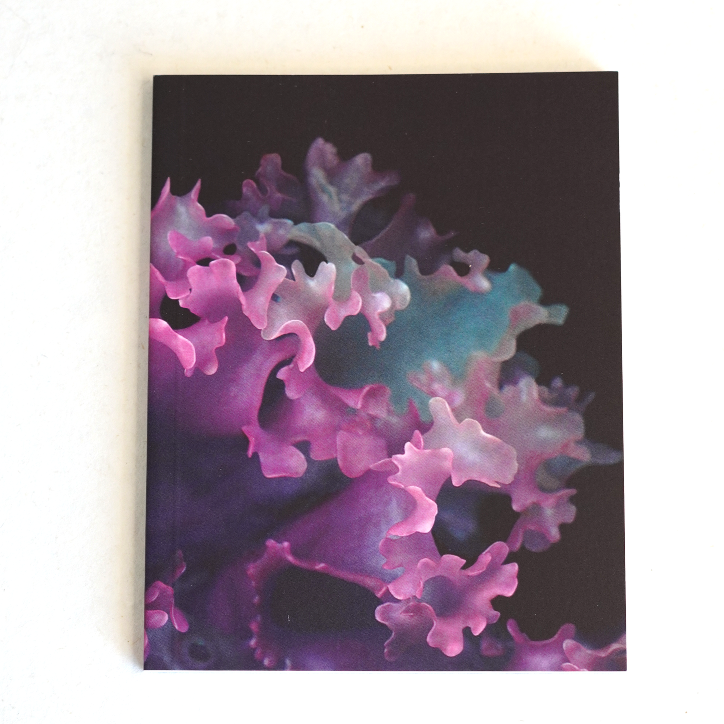 Moss & Midnight Pocket Jotter