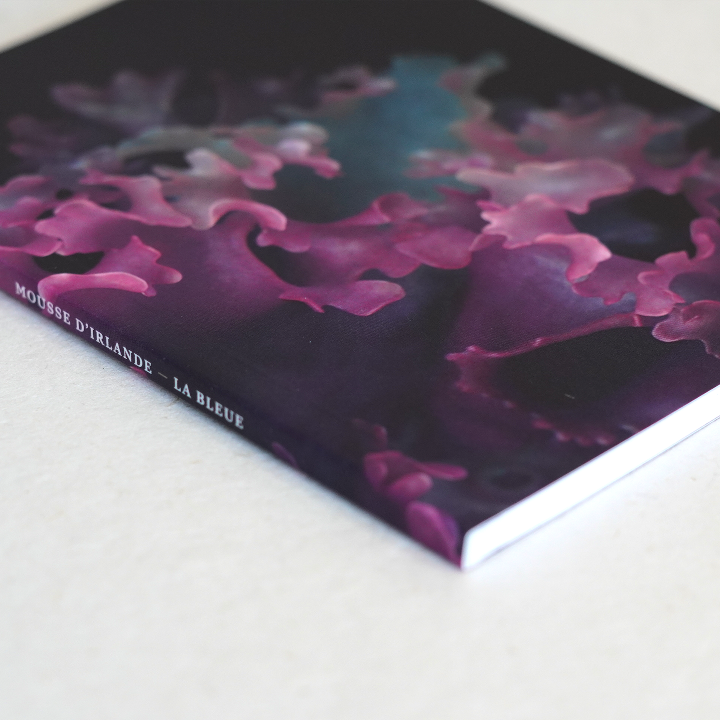 Moss & Midnight Pocket Jotter