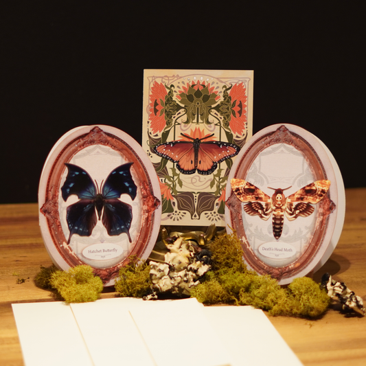 Midnight Court - Gothic Moth & Butterfly Greeting Card Set: Pack of 3