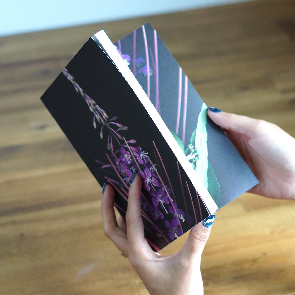 Velvet Botanica Journal - L’Épilobe