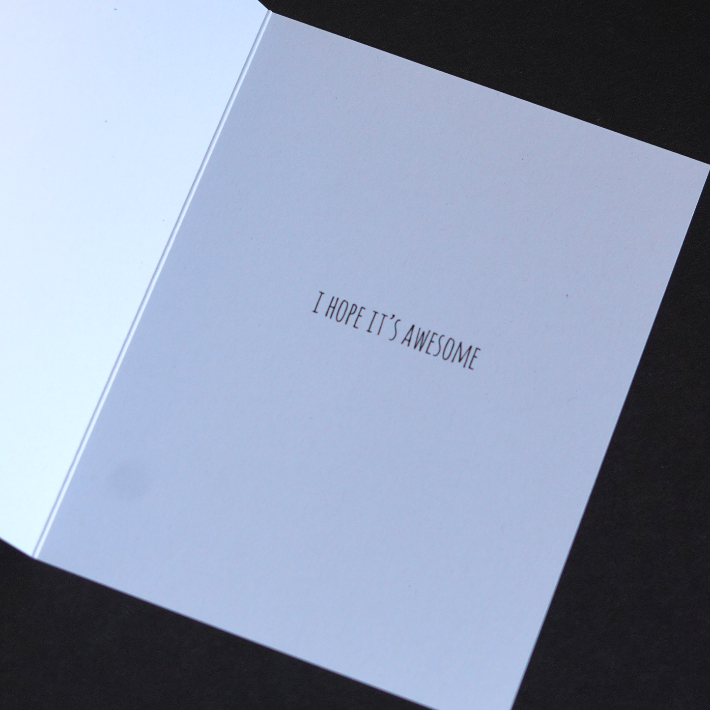 Questionable Critter Birthday Wishes - Set of 3