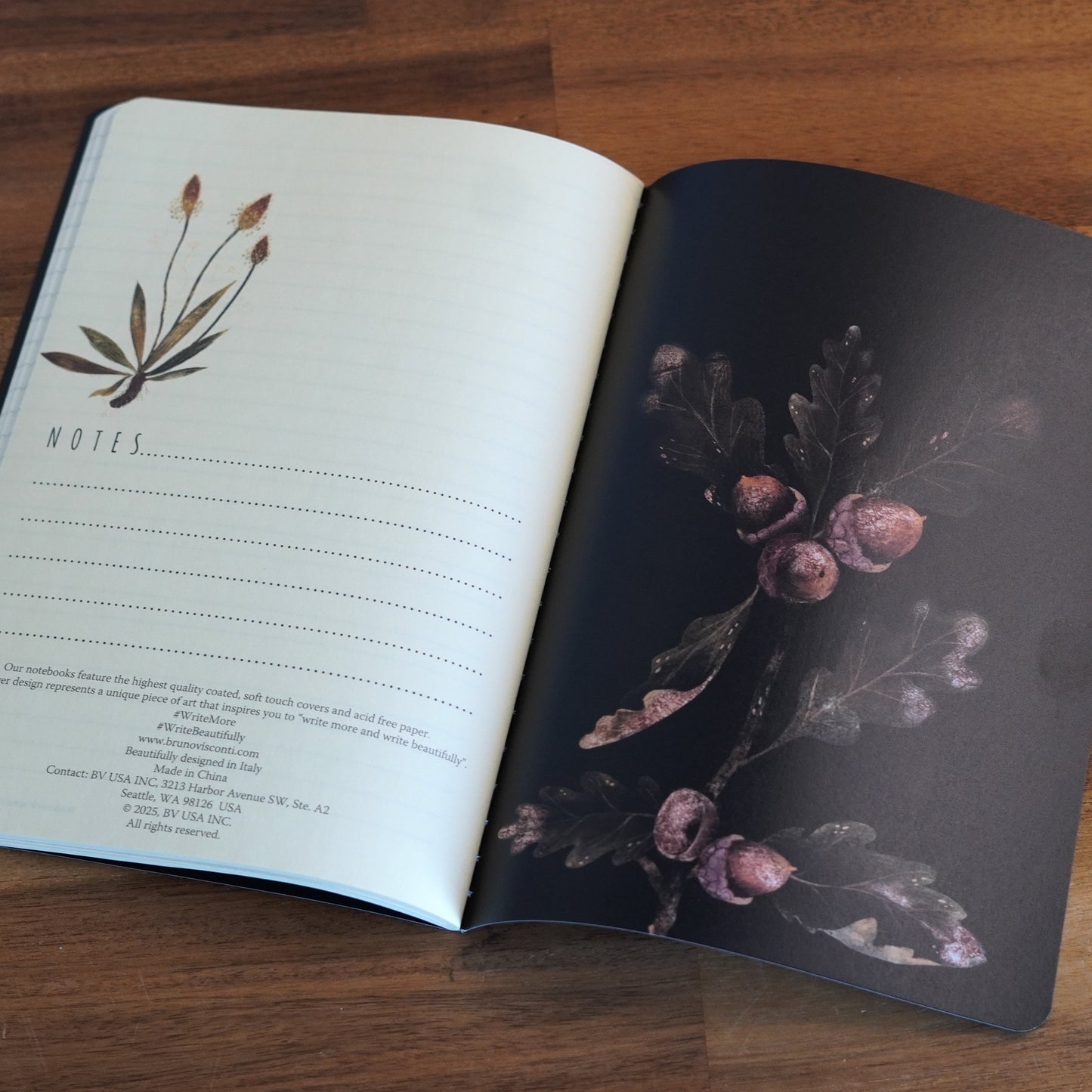 Nocturne Garden Notebook