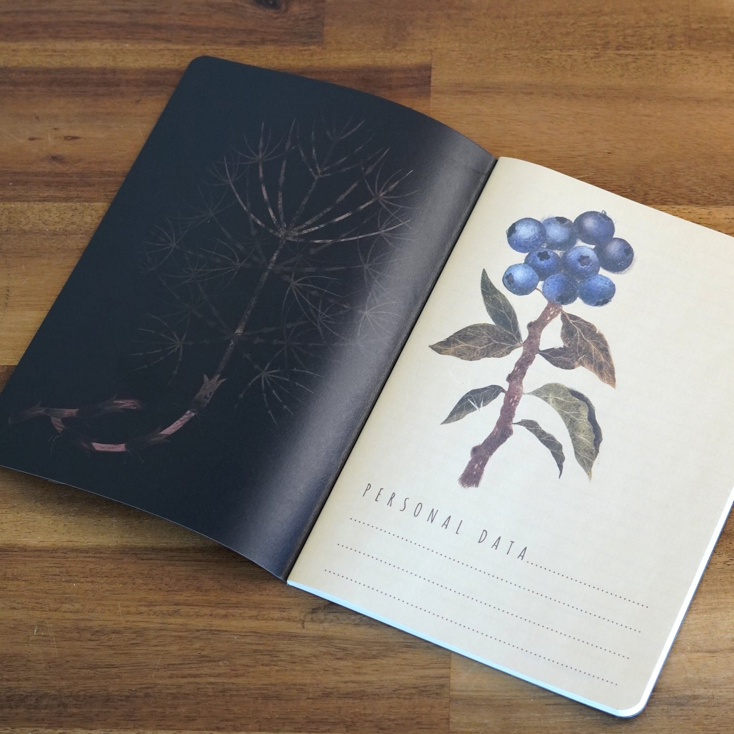 Nocturne Garden Notebook