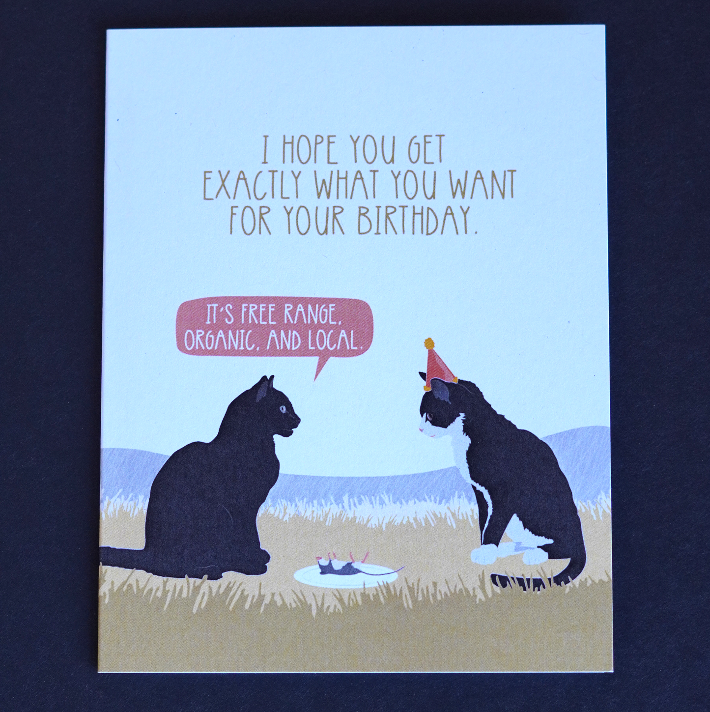 Questionable Critter Birthday Wishes - Set of 3