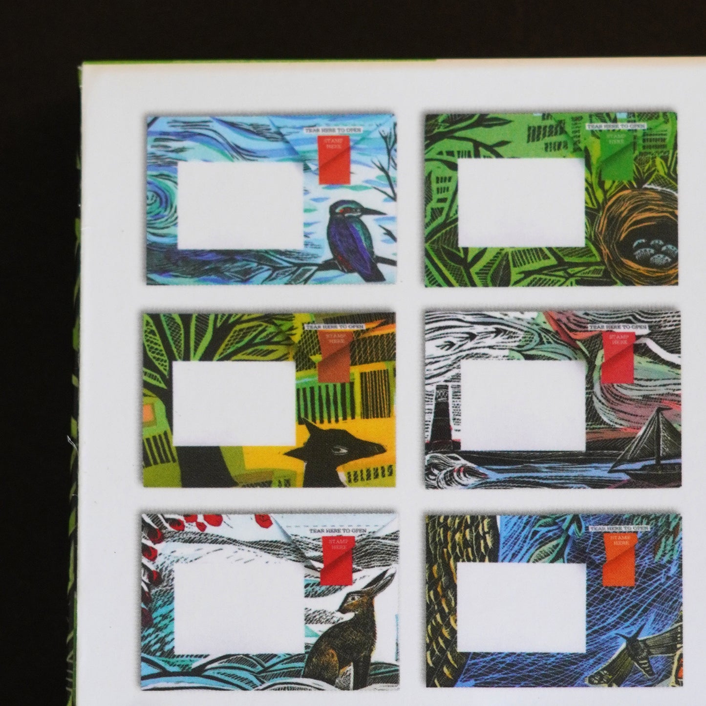 Wonderfully Wild Folding Letters - Pack of 6 Pigeon Post