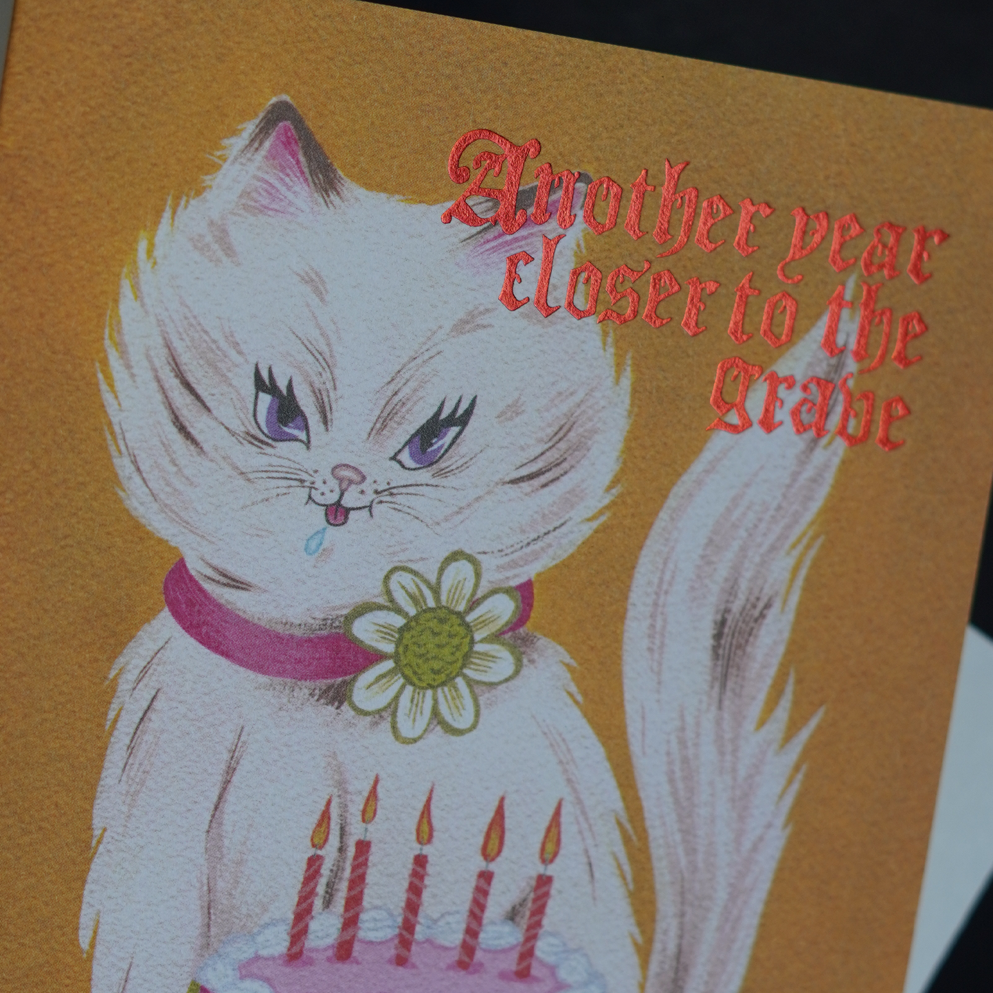 Sassy Cat Birthday Card