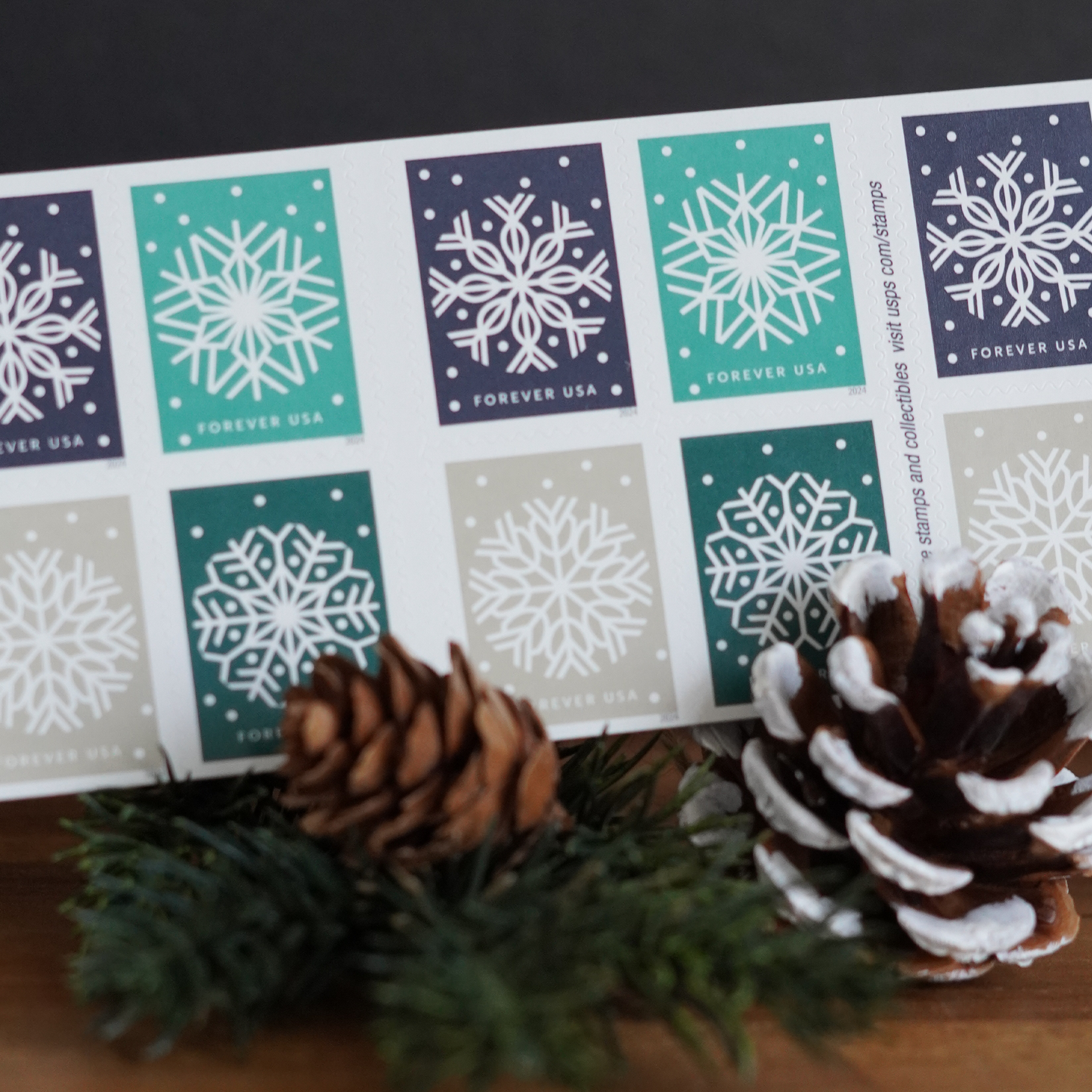 Stamps: Winter Whimsy Snowflakes