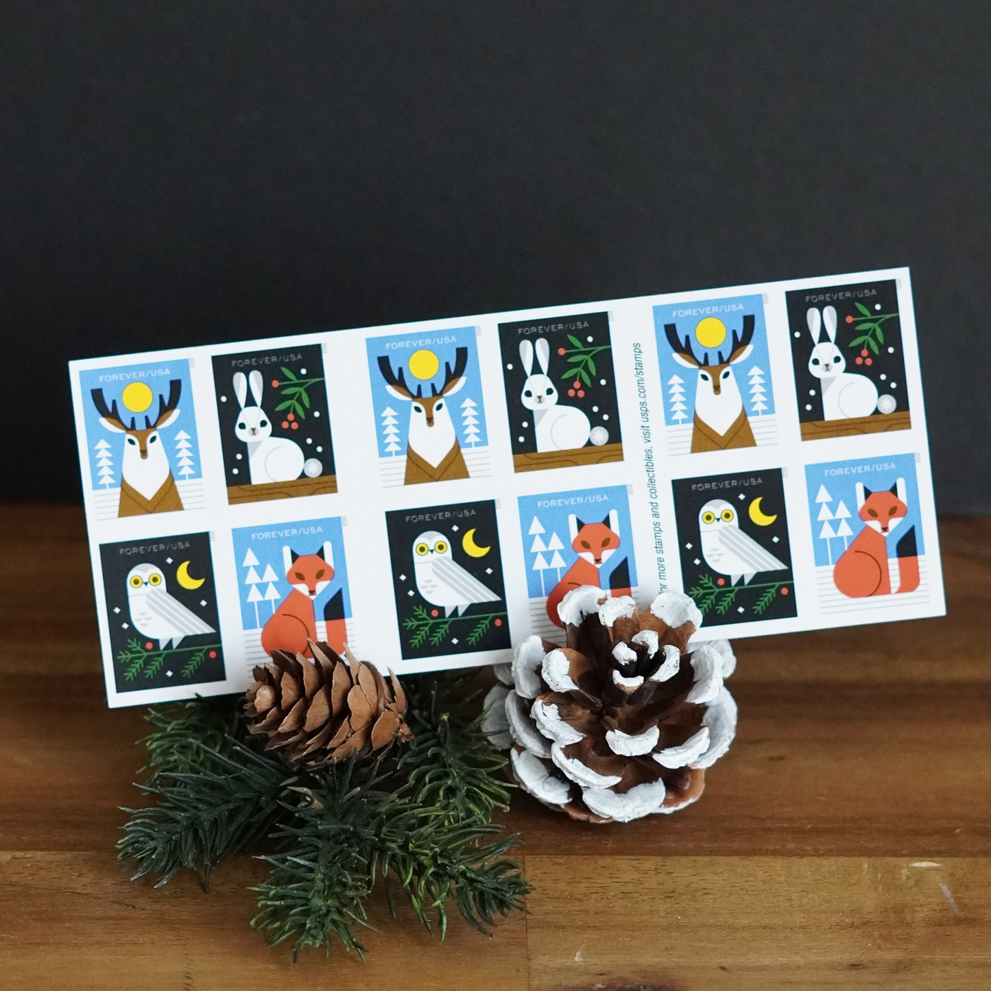 Gnome for the Holidays Cards - Set of 2 + Stickers